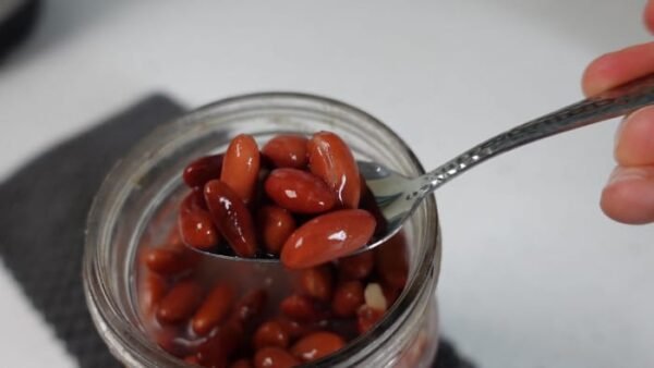 Fermented Kidney Beans (Rajma) – 110g Probiotic & Prebiotic Powerhouse