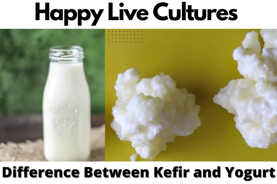 difference-between-kefir-and-yogurt