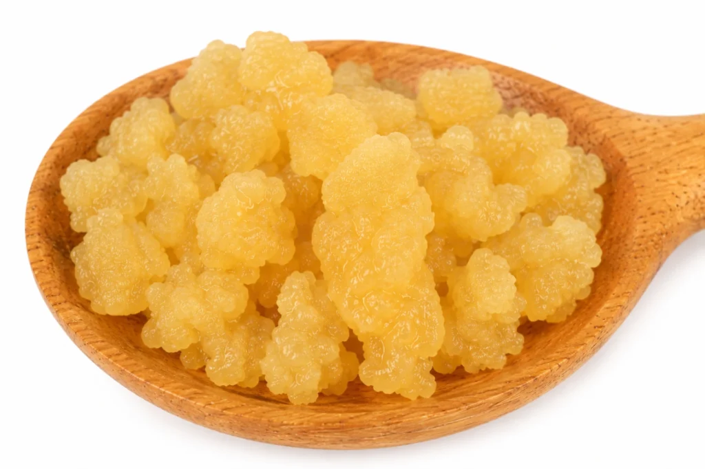Premium Water Kefir Grains (Big Sized Grains)
