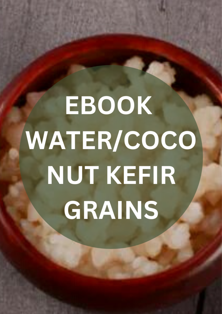 Original Recipe Water & Coconut Kefir Grains E-Book