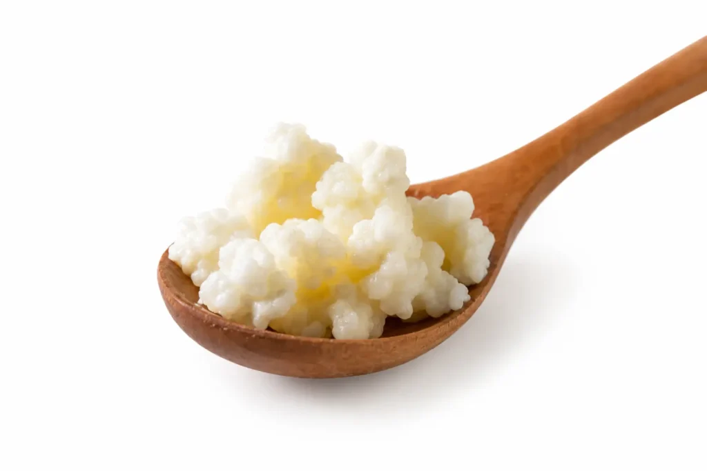 MILK KEFIR GRAINS LIVE ORGANIC