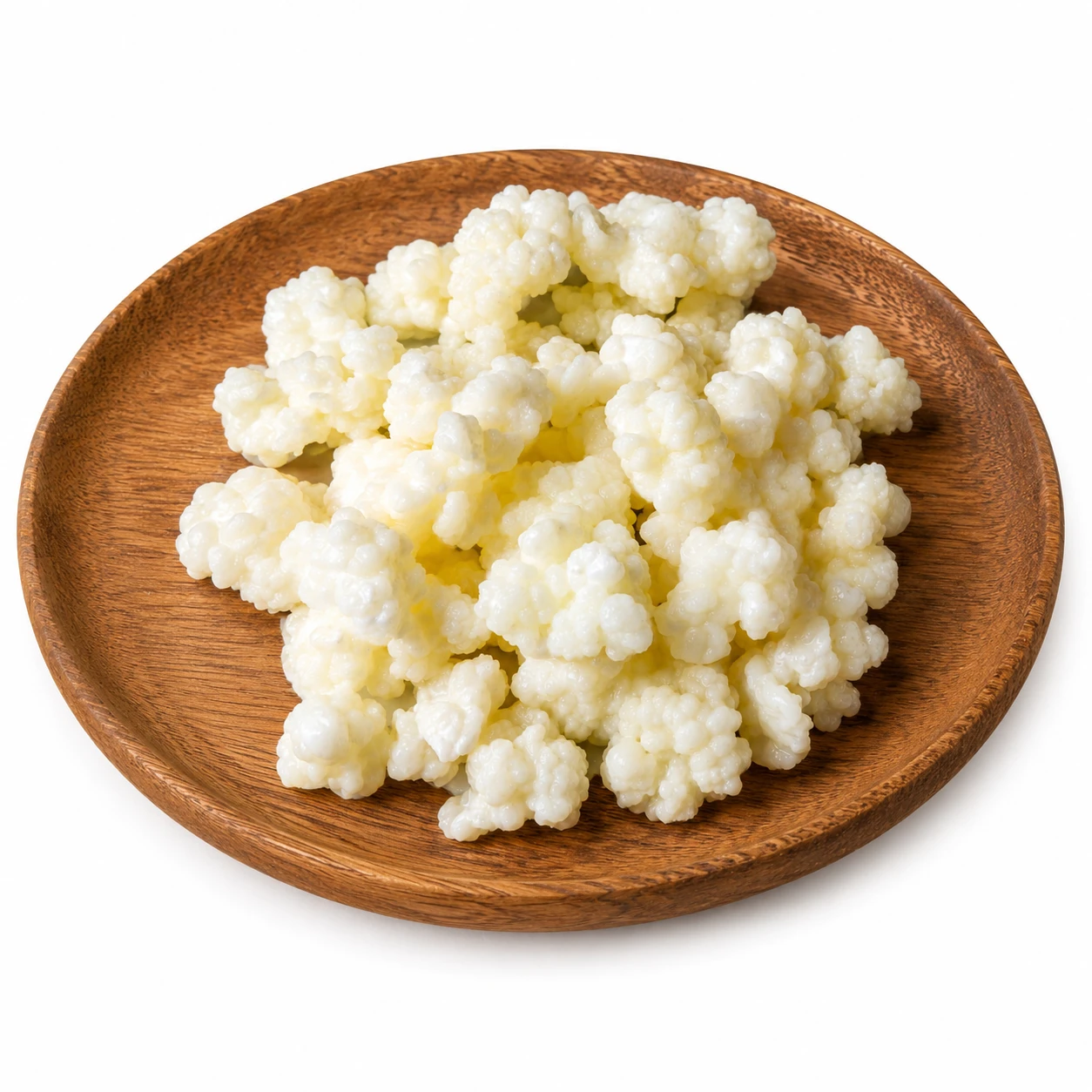 Premium Milk Kefir Grains (Big Sized Grains) - Image 2